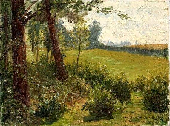 Landschaft mit Wiese und Bäumen
